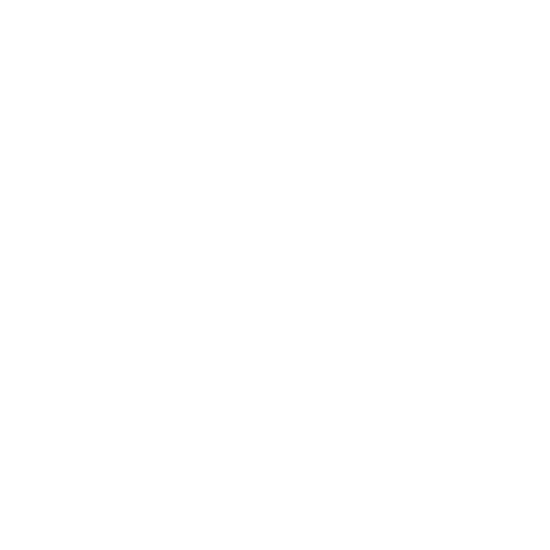 aniversario eliveli